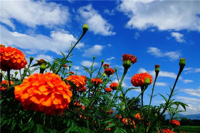 騰沖徒步路線馬拉松賽道