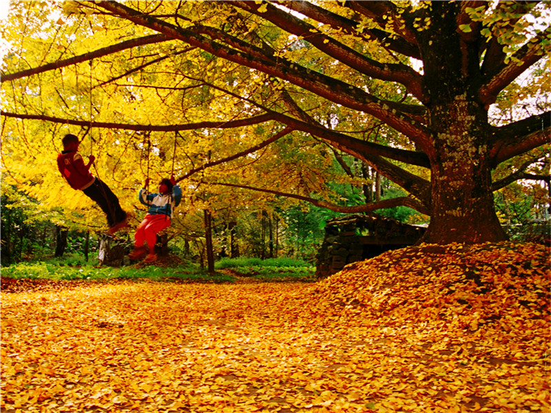 云南騰沖自駕游去哪好玩?5個騰沖2-3天自駕游必去景點(diǎn)推薦