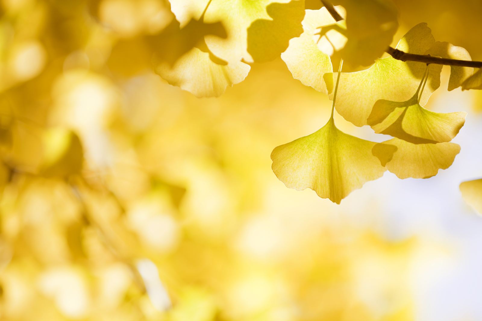 云南騰沖旅游景點推薦，騰沖旅游必去的五個景點，騰沖好玩的地方推薦