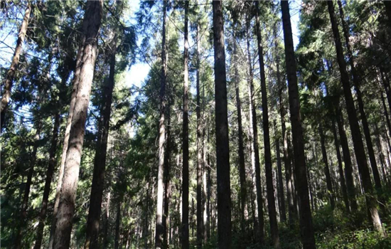 騰沖景區(qū)景點(diǎn)