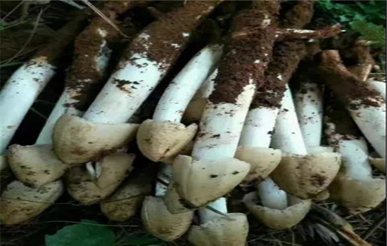 騰沖景區(qū)景點(diǎn)