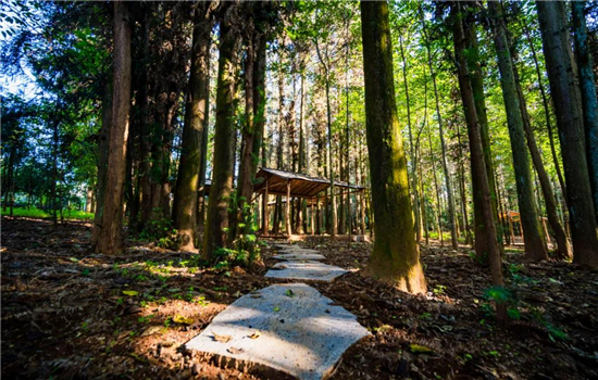 騰沖旅游景點(diǎn) 騰沖旅游景點(diǎn)