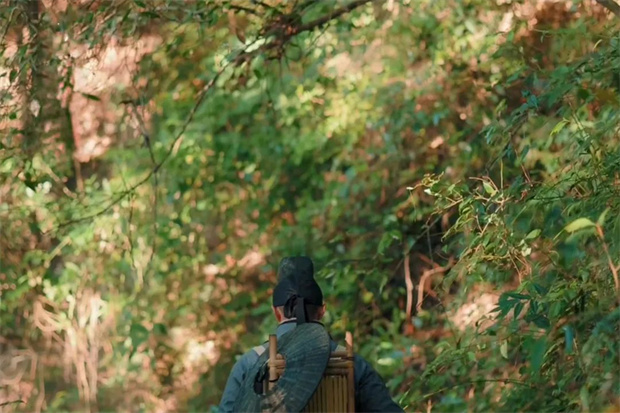 云南旅游,云南旅行社,云南團(tuán)建公司,云南策劃公司,云南會(huì)議會(huì)展,騰沖旅游,騰沖旅行社,騰沖團(tuán)建公司,騰沖策劃公司,騰沖會(huì)議會(huì)展：跟著徐霞客游騰沖 ▏寶峰山：探尋386年前的山林秘境！