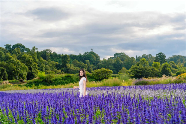 云南旅游,云南旅行社,云南團(tuán)建公司,云南策劃公司,騰沖旅游,騰沖旅行社,騰沖團(tuán)建公司,騰沖策劃公司：初秋，到騰沖聆聽(tīng)花園與大自然的合影